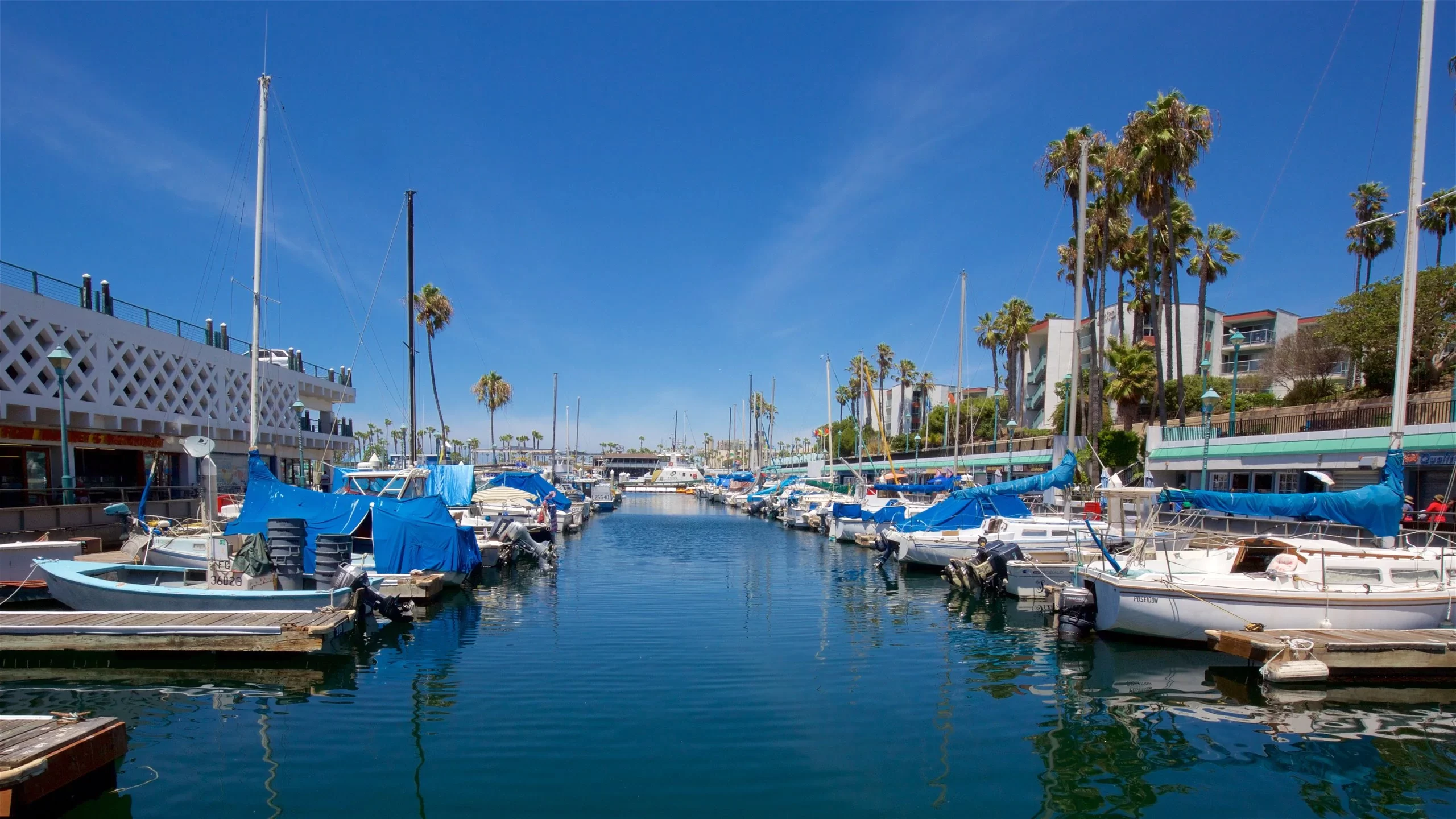 Vacation Packages in Los Angeles: Best Deals & Local Experiences