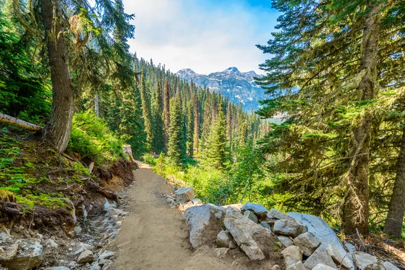 Best Hiking Spots for Beginners in 2025: Discover Top Trails for Easy and Enjoyable Hikes